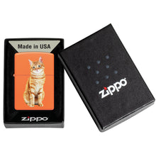 Cat Design Windproof Lighter in its packaging.