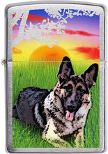 Zippo German Shepherd Dog