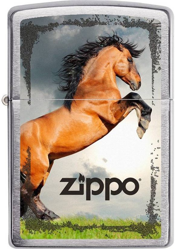Zippo Horse on Hind Legs