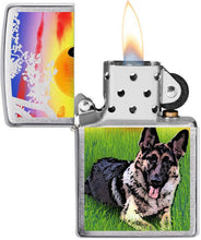 Zippo German Shepherd Dog