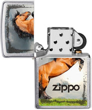 Zippo Horse on Hind Legs