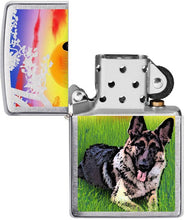 Zippo German Shepherd Dog