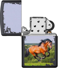 Zippo Horse Running