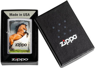 Zippo Horse on Hind Legs